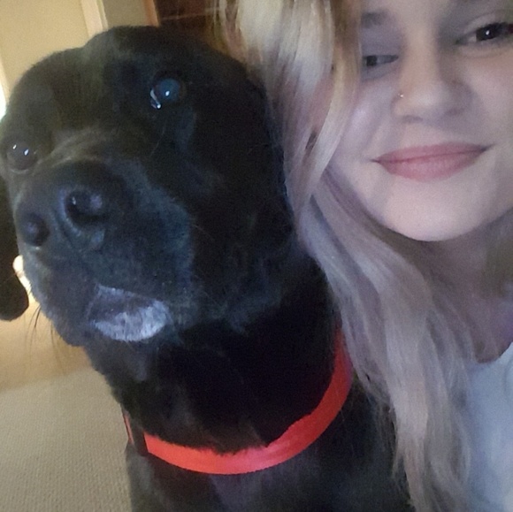 Meet your Posher, Elizabeth - Picture 3 of 7